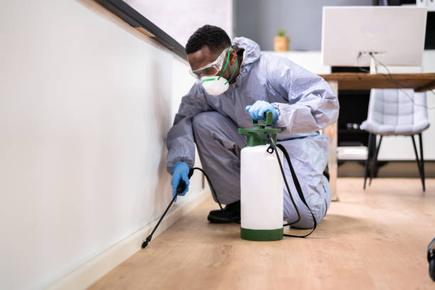 Best Residential Pest Control  in Zebulon, GA